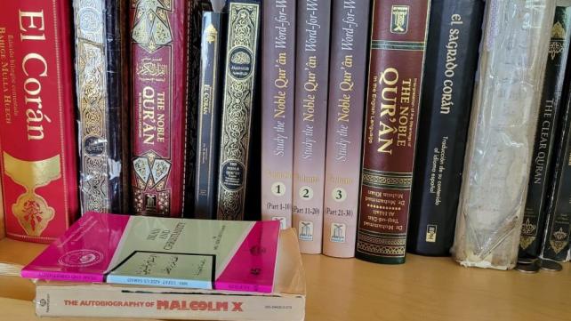A group of books on a shelf  Description automatically generated