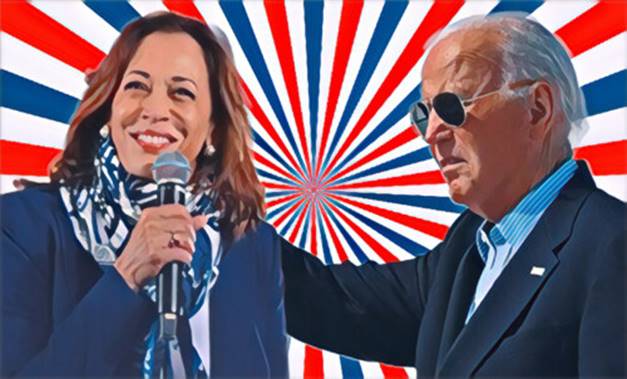 With Biden out, is Kamala Harris the Democrats&rsquo; trump card for the US elections?