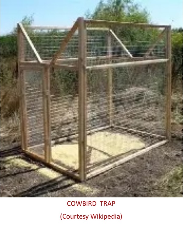 A cage in a field AI-generated content may be incorrect.