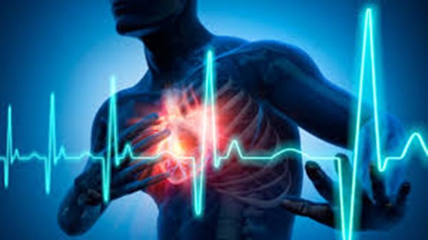 Fatal Heart Disease Has Plummeted Since ...