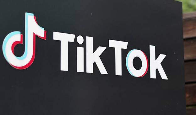 Cricket, travel, entertainment dominate Pakistan’s TikTok searches in 2025